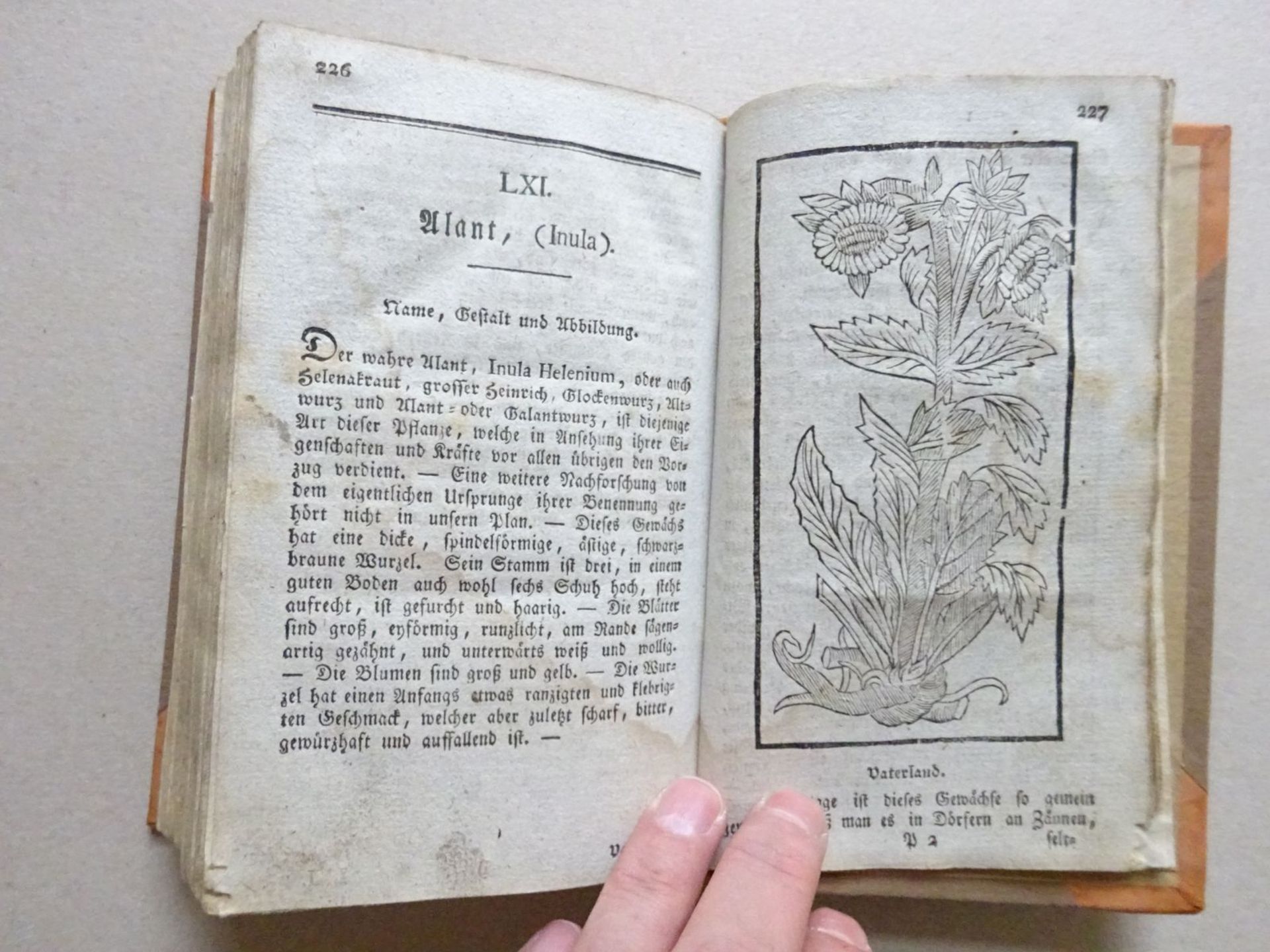 Kräuter-Buch 1794 - Bild 6 aus 6