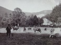 Bilder aus dem Harz, 1898