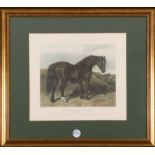 John Frederick Herring (1795-1865) / James Harris (1810-1887). „Draught Mare and Foal“.