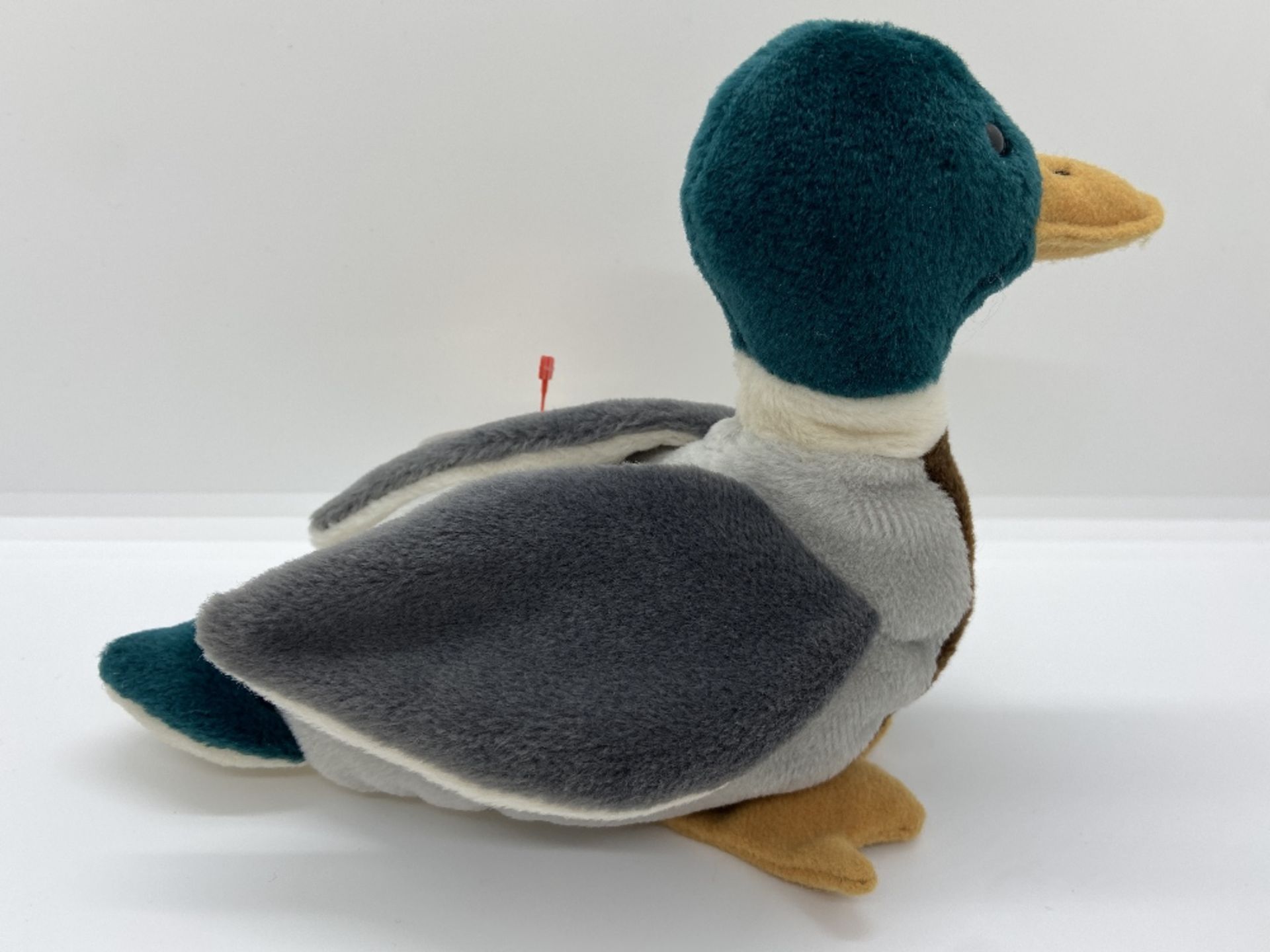 Ty Beanie Babies Jake Mallard Duck, 1998, PE Pellets, In Case w/ Tags WITH TAG ERRORS - Image 3 of 8