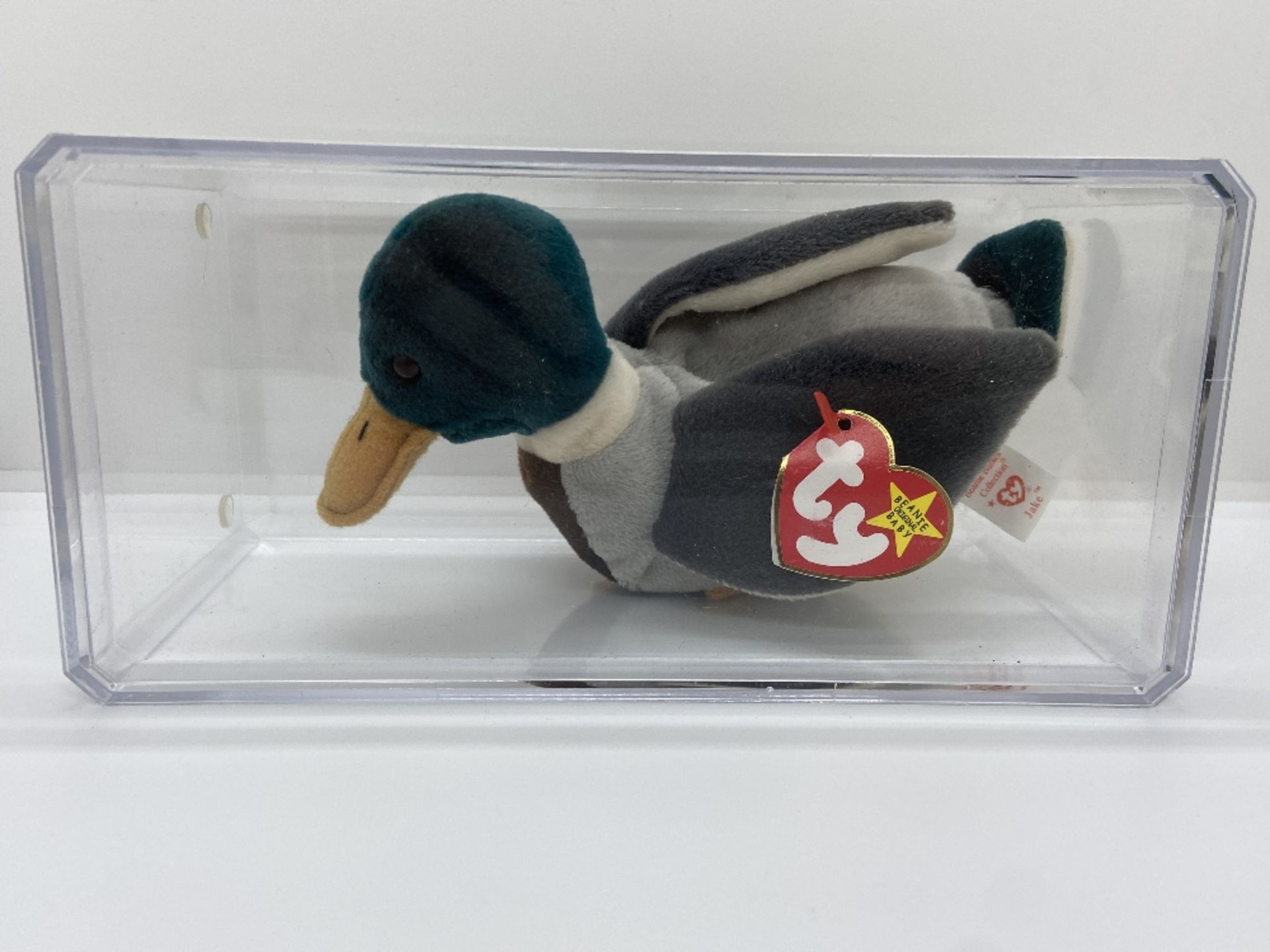 Ty Beanie Babies Jake Mallard Duck, 1998, PE Pellets, In Case w/ Tags WITH TAG ERRORS - Image 2 of 8