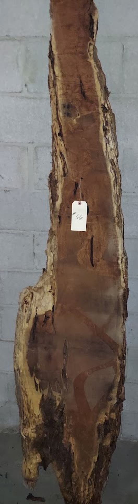 Mesquite Hardwood Lumber Slab, Size is approx. 88" x 7"-19" x 2"