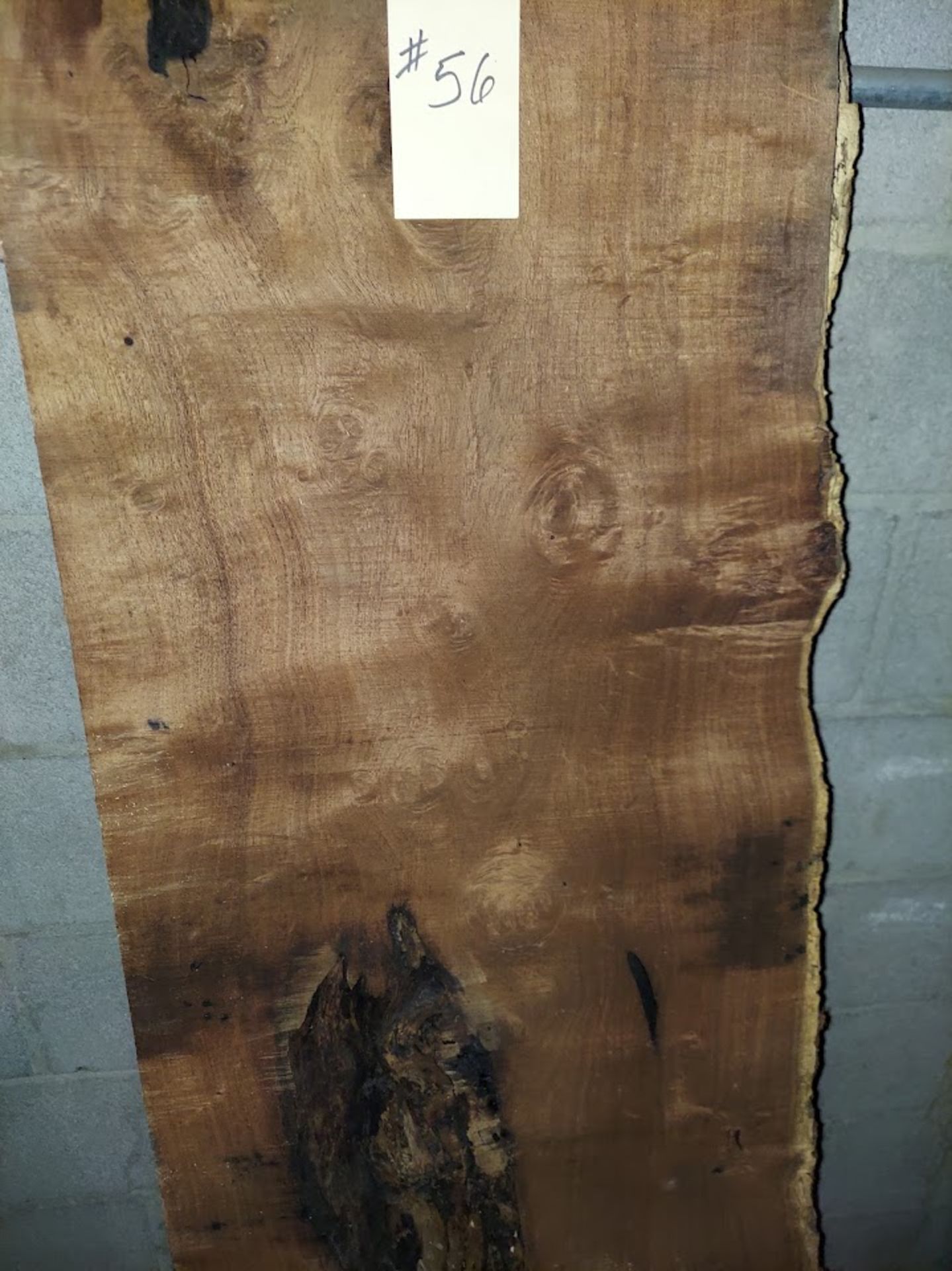 Mesquite Hardwood Lumber Slab, Size is approx. 94" x 16"-21" x 2" - Image 2 of 2