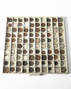98 different emergency coins 1713-1864