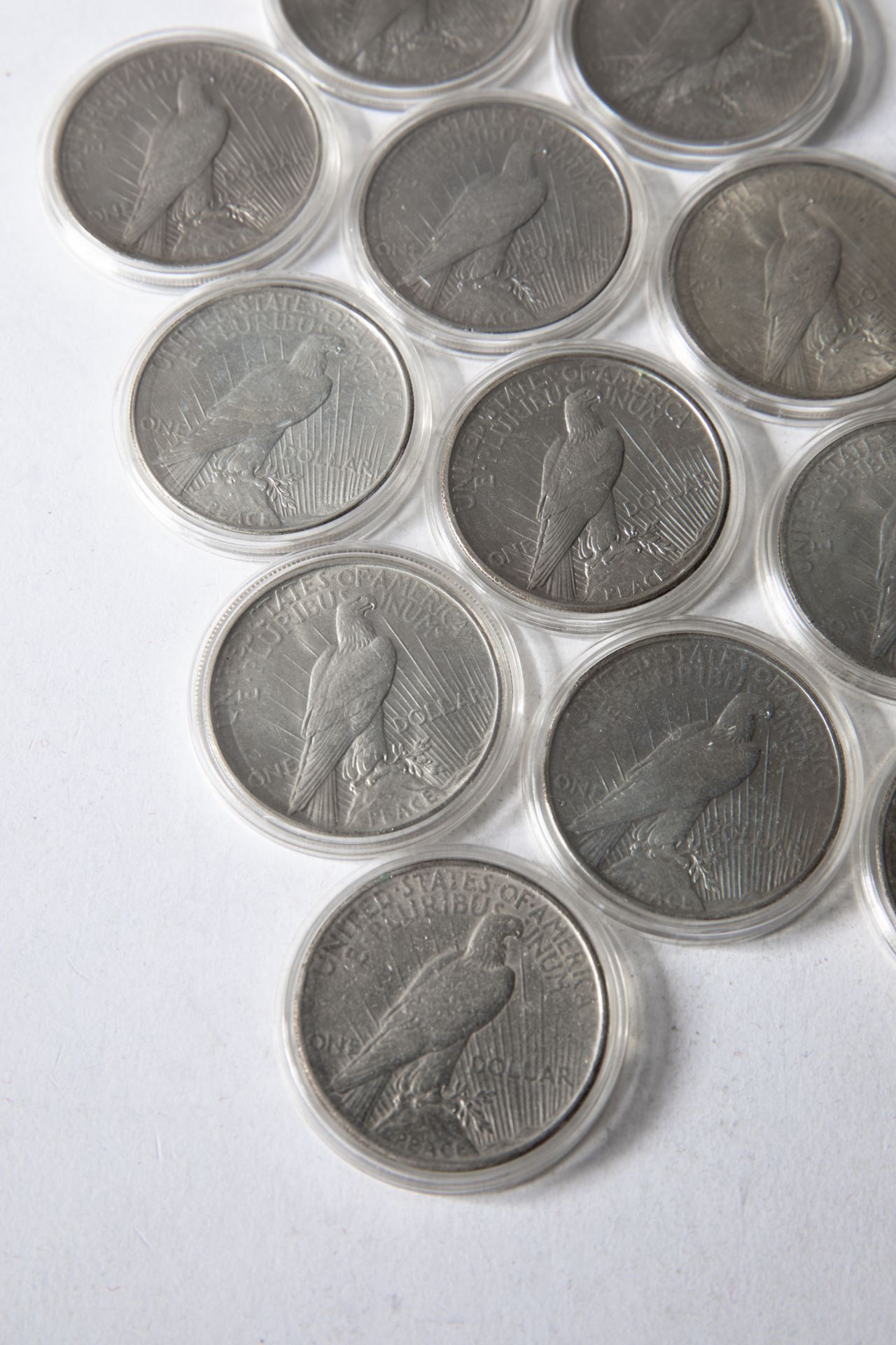 12x 1 Dollar USA. Peace Dollar. 1921-1935 - Bild 5 aus 7