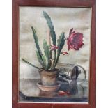 Unknown Artist artist 1920 , Cactus still life , oil on canvas, signed bottom left, framed. 62x45 cm