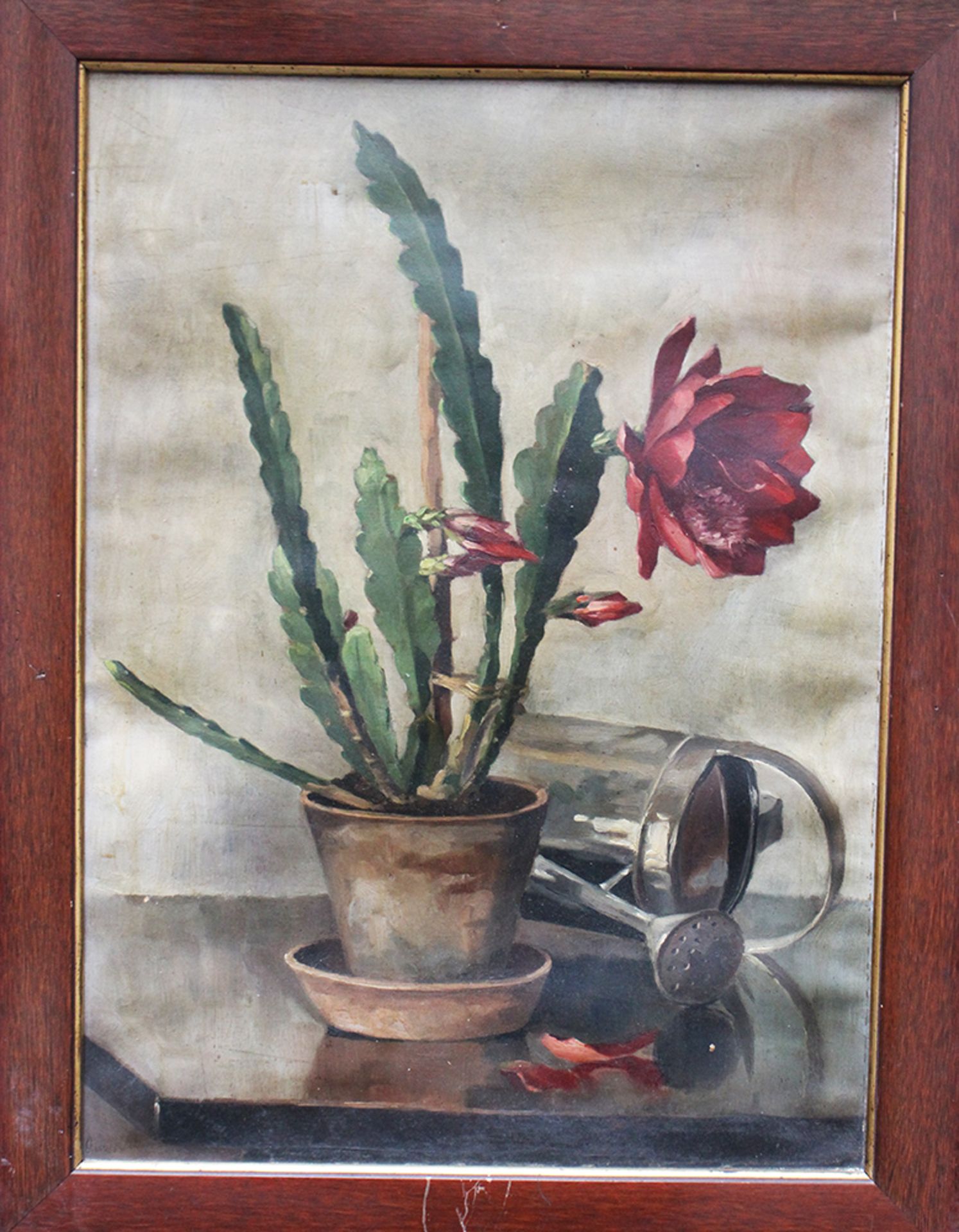 Unknown Artist artist 1920 , Cactus still life , oil on canvas, signed bottom left, framed. 62x45 cm