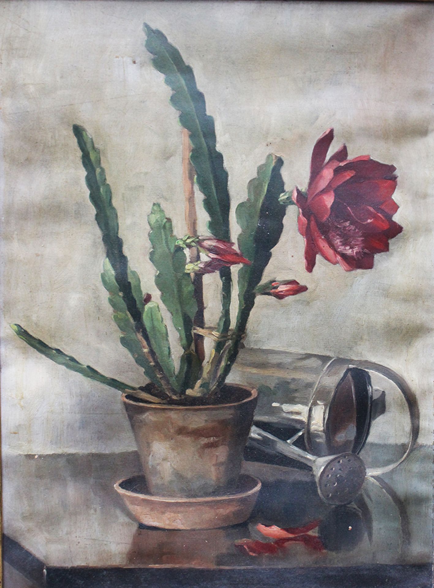 Unknown Artist artist 1920 , Cactus still life , oil on canvas, signed bottom left, framed. 62x45 cm - Bild 2 aus 3