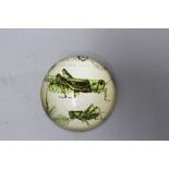 Paperweight glass. 7.5 cm diameter