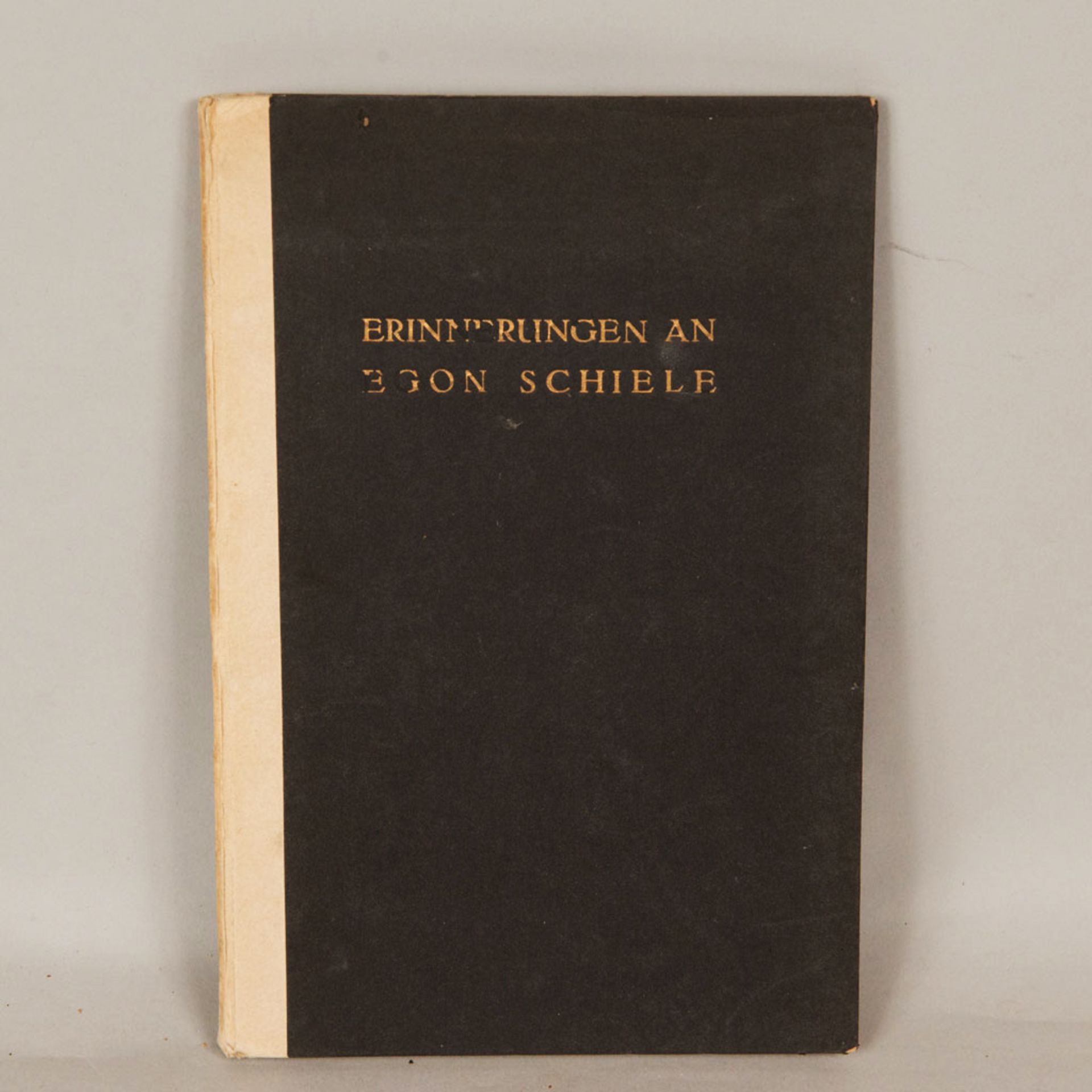 Erinnerungen an Egon Schiele