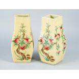 Pair of Chinese porcelain vases