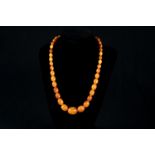 Amber necklace; 26g. 49 cm length