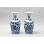 Pair of Chinese Kangxi (1654-1722) porcelain vases