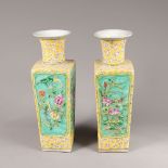 Pair of Chinese porcelain vases