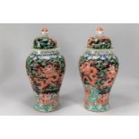 Pair of Chinese guardian vases
