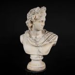 Garden bust of Apollo