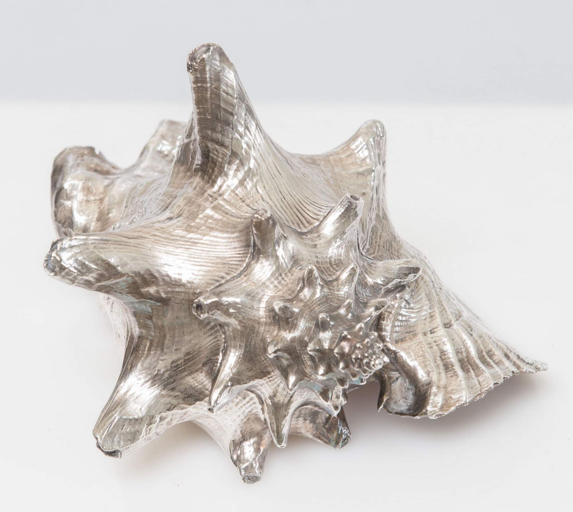 CONCHIGLIA placcata in argento. Cm 14x18,5x16. - Image 2 of 2