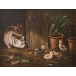 Maestro del XIX secolo. “Scena di cortile con gatto e pulcini”. Olio su tela. Cm 47x61.