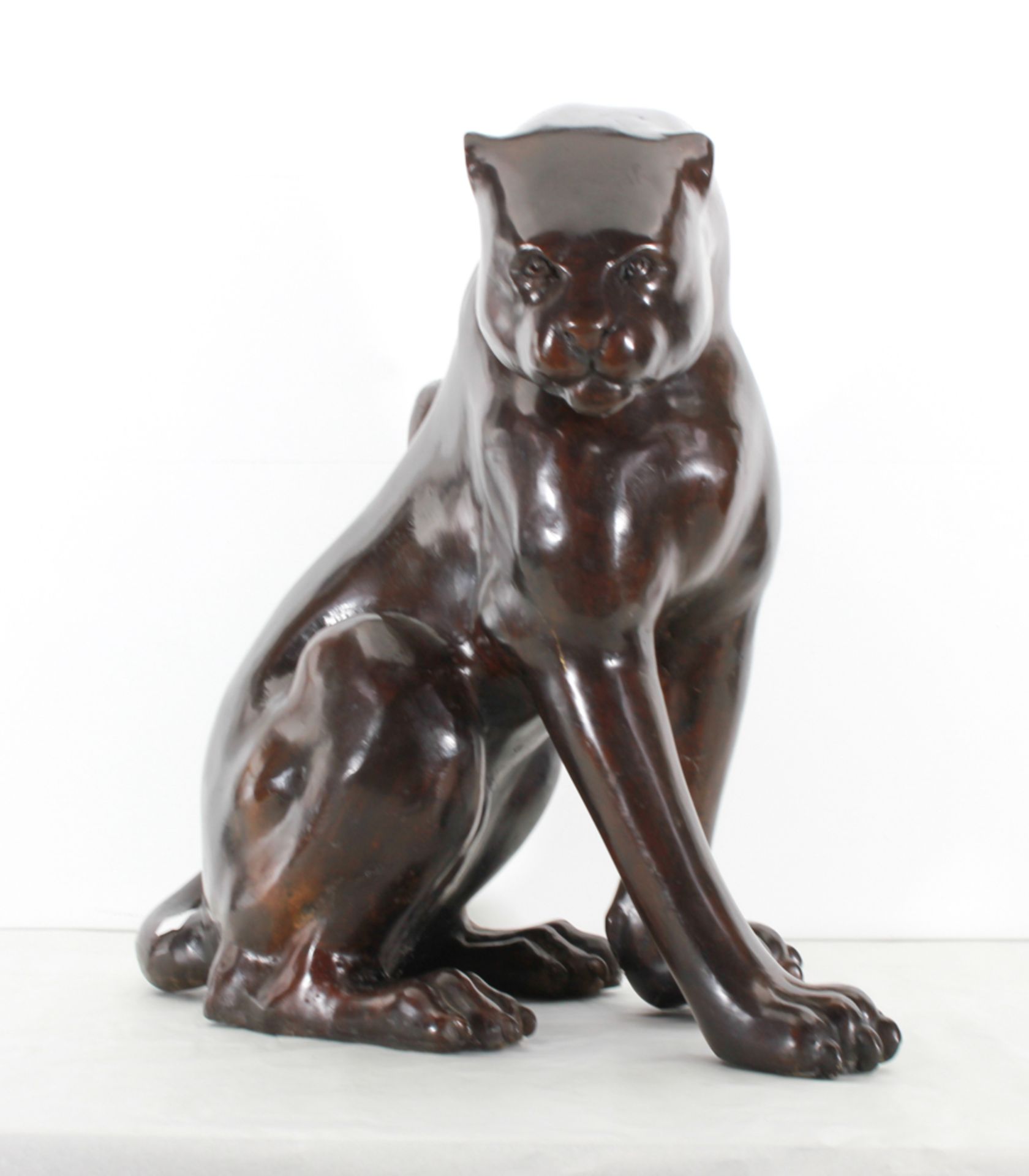 Bronze Bronze sculpture ** Panther Assisi **, unsigned. - size height and width 71 X 56 X 68 cm - Bild 4 aus 7