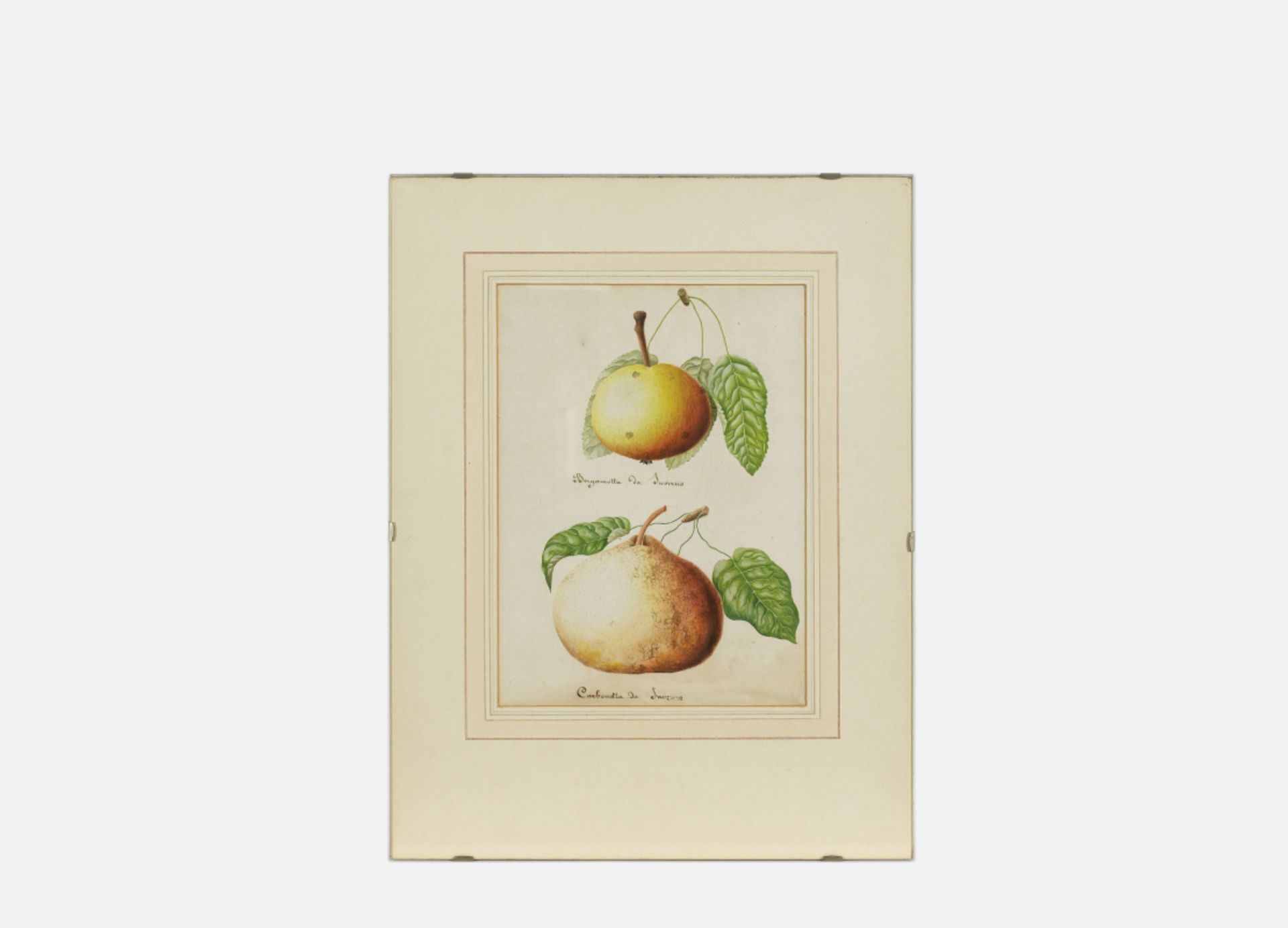 Darstellung von Apfel und Birne