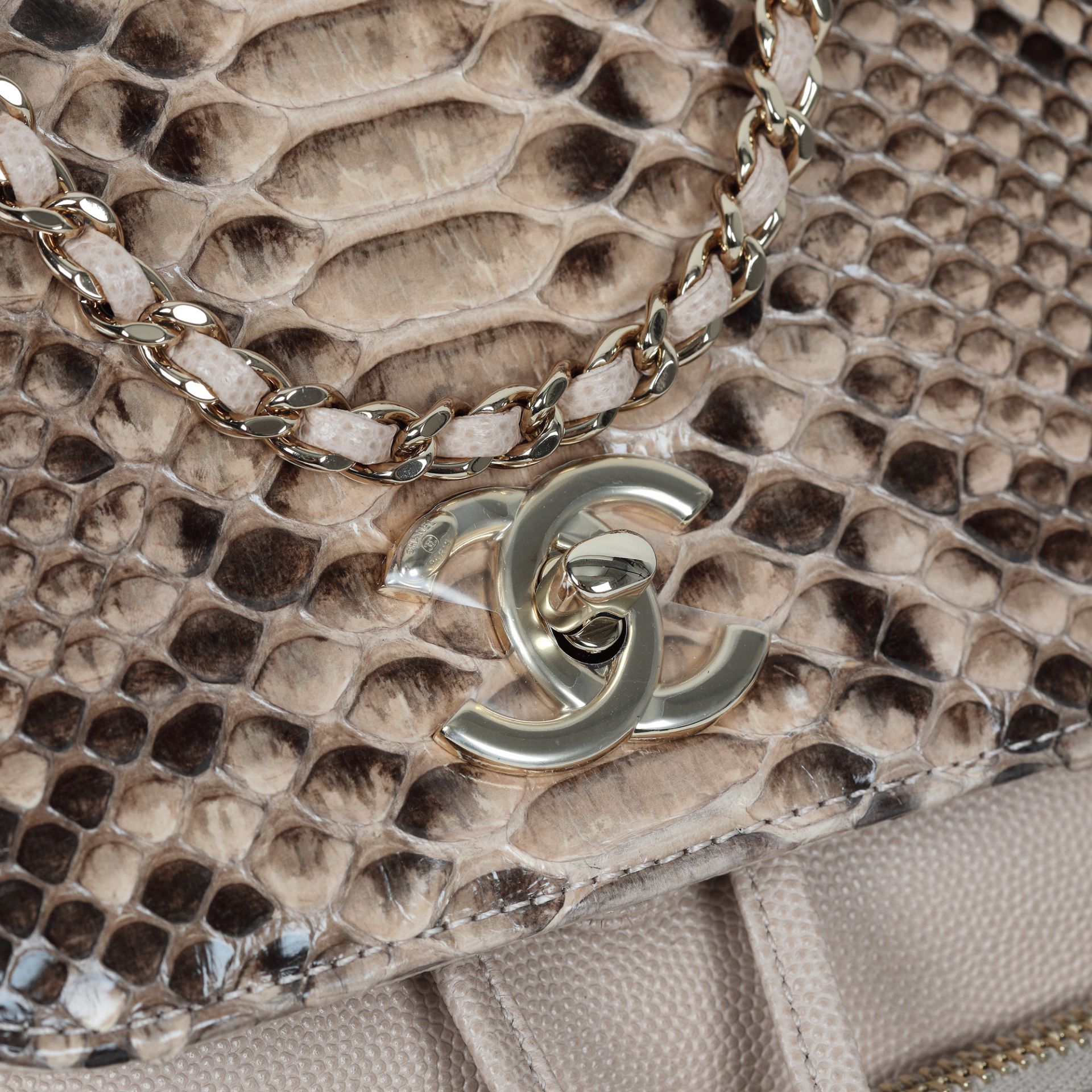 "Business Affinity Backpack" - Chanel backpack, caviar leather and python leather - Image 4 of 6