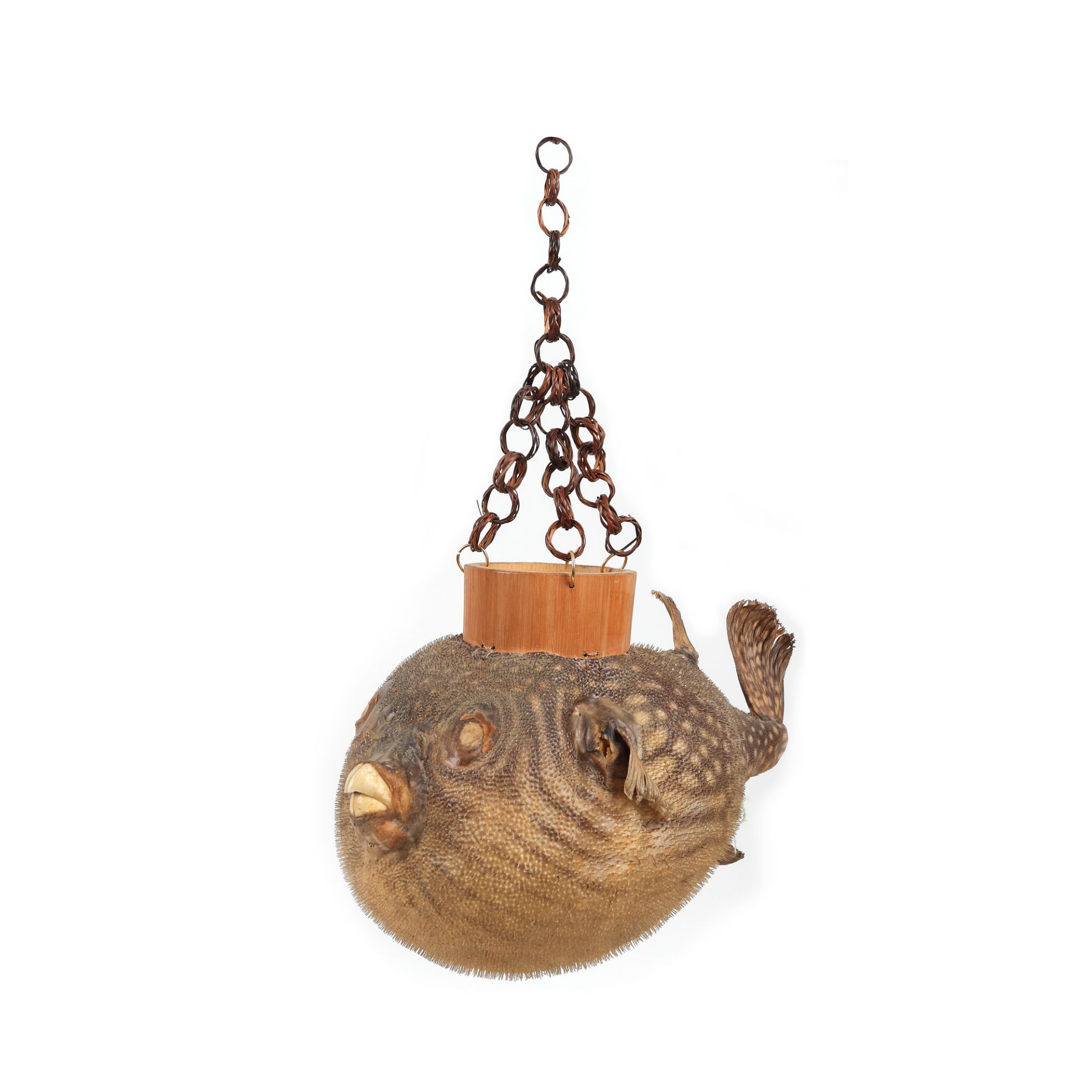 Balloon fish lamp - Image 2 of 3