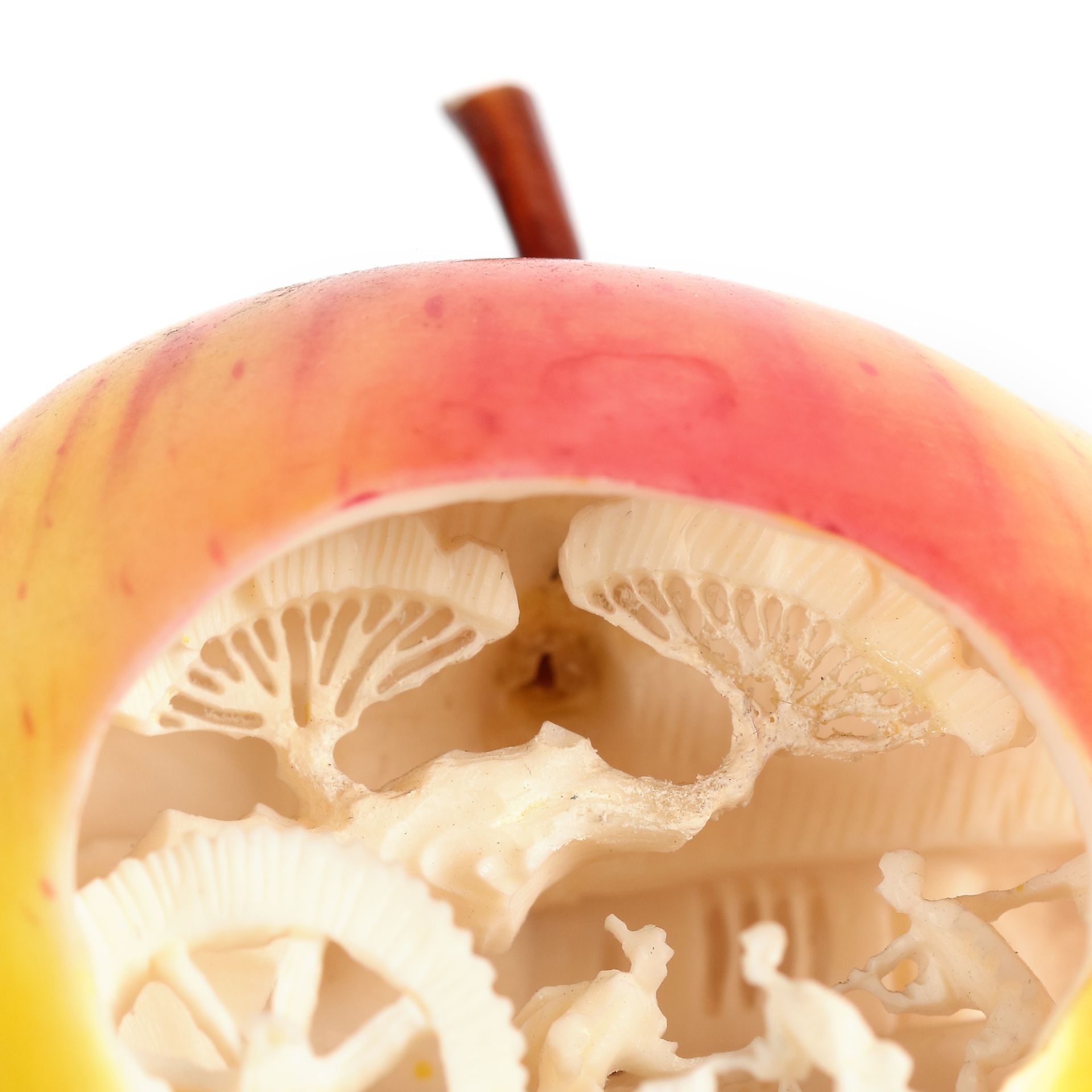 Miniature apple, carved and painted ivory, Republican period, China, approx. 1912-1949 - Image 4 of 5