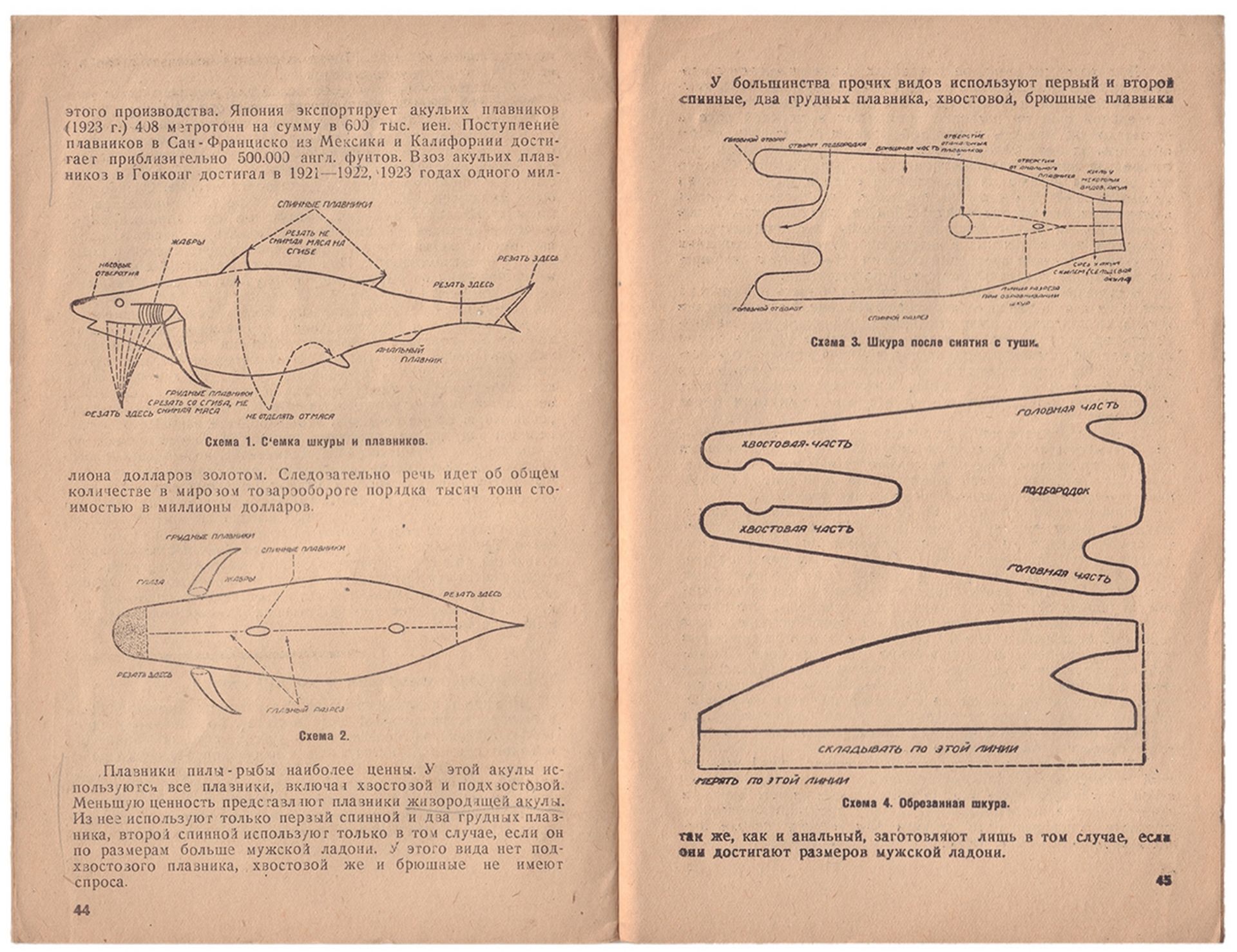 [Copy of Ivan Puzanov, soviet zoologist]. Berezin, N., Govorkov, I. Shark cropping. - Moscow; Lening - Bild 3 aus 3