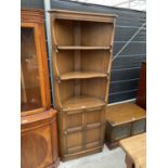 AN ERCOL ELM CORNER CABINET WITH LOWER DOOR AND TWO SHELVES - 30" WIDE