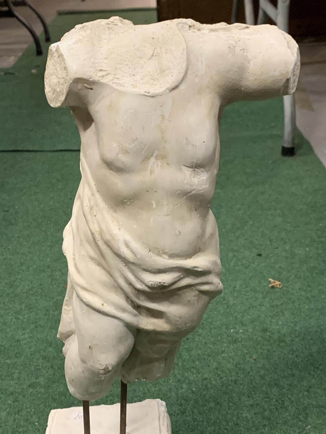 A PLASTER MODEL OF A MALE TORSO (HEIGHT APPROXIMATELY 52CM) - Image 2 of 3