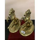 A PAIR OF BRASS REARING HORSES ON PLINTHS