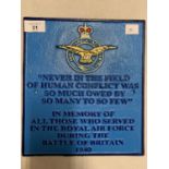 A PAINTED CAST IRON RAF PLAQUE