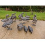 TEN LIFE SIZE DECOY PINK FOOT GEESE (ONE LEGLESS) AND TWO CROWS