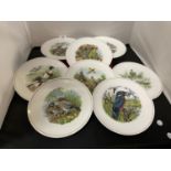 A COLLECTION OF ROYAL WORCESTER SPODE COLLECTABLE 'HAMMERSLEY' PLATES DEPICTING ICONIC BRITISH
