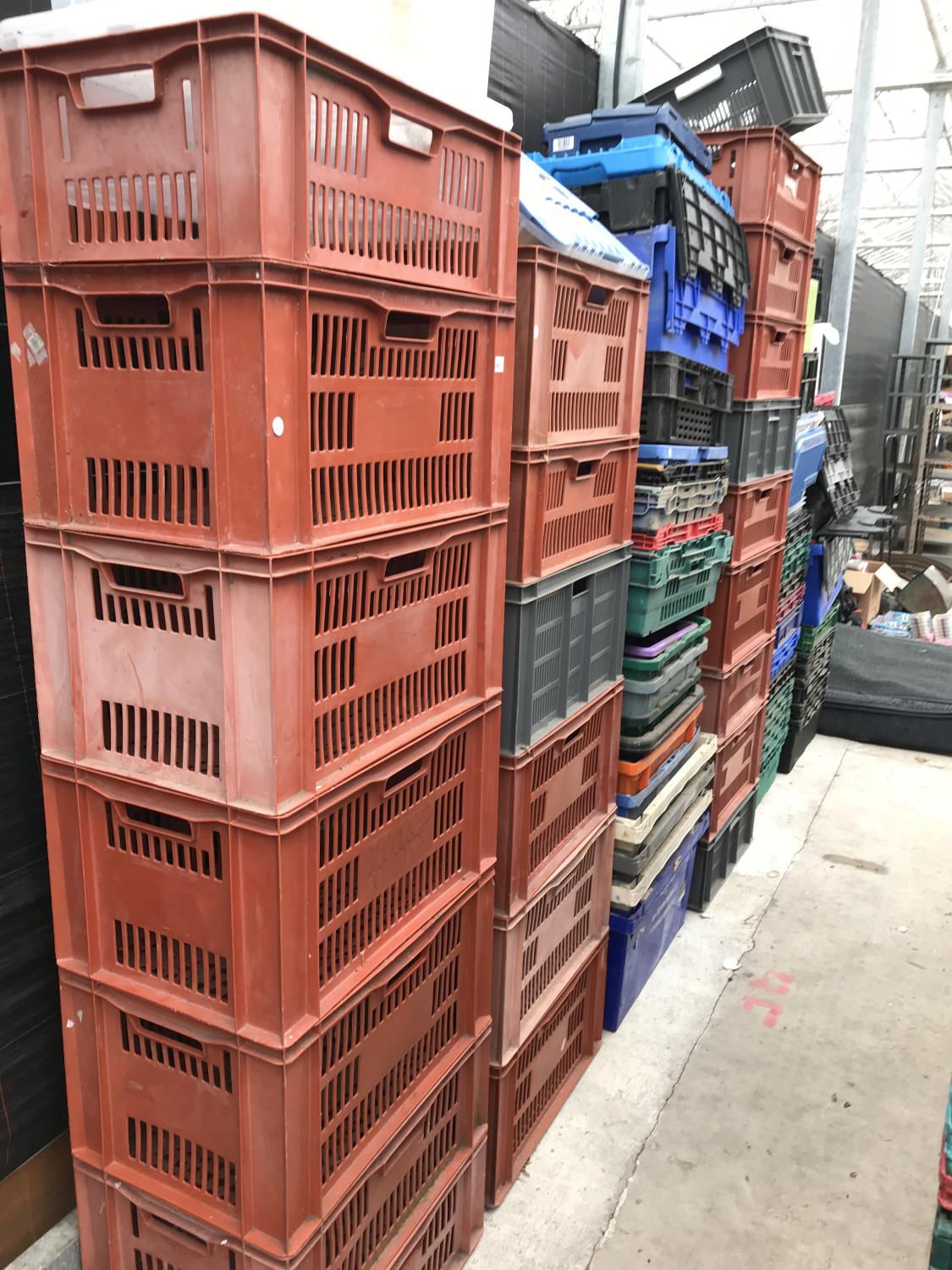 A LARGE QUANTITY OF BREAD BASKETS AND A LARGE NUMBER OF STORAGE BOXES