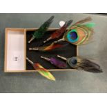 A COLLECTION OF SEVEN LAPEL PINS IN THE FORM OF COLOURFUL FEATHERS