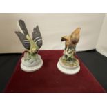 A PAIR OF CERAMIC BRITISH GARDEN BIRD ORNAMENTS