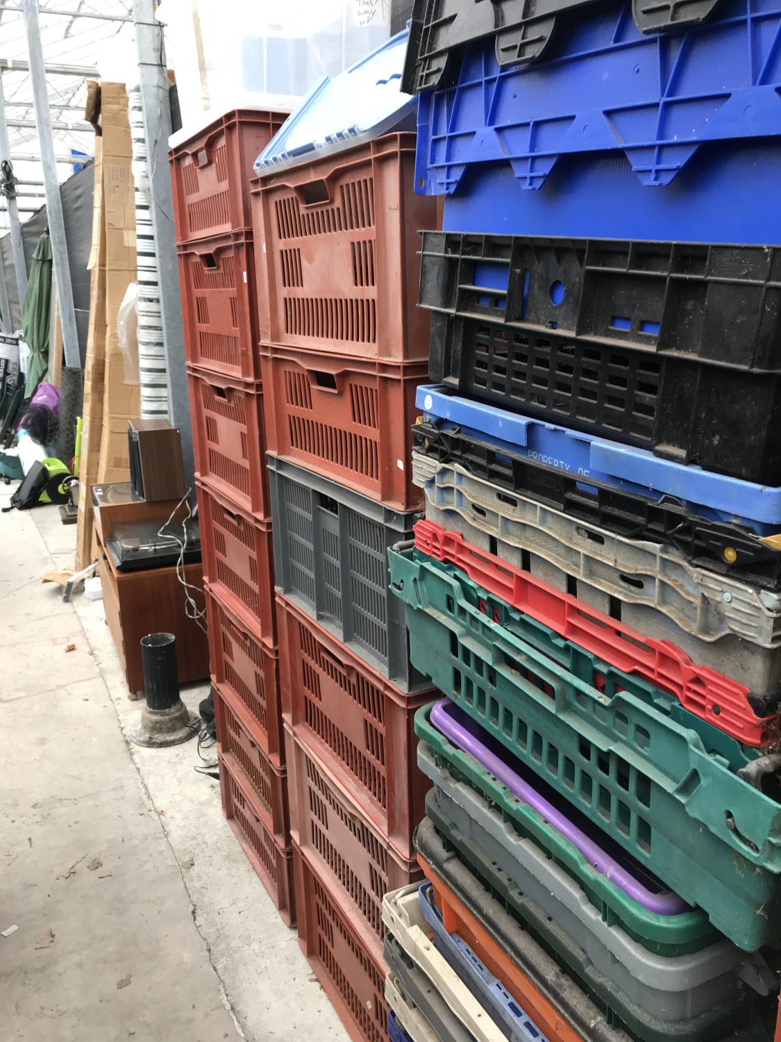 A LARGE QUANTITY OF BREAD BASKETS AND A LARGE NUMBER OF STORAGE BOXES - Image 4 of 4