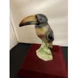 A LARGE JEMA HOLLAND TOUCAN 193