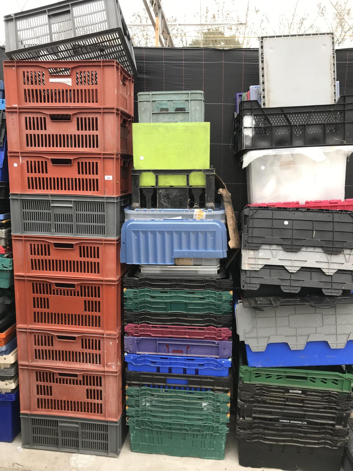 A LARGE NUMBER OF STORAGE BOXES AND BREAD BASKETS - Image 2 of 2