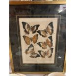 A GILT FRAMED "BUTTERFLIES" PICTURE