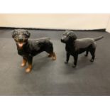 TWO BESWICK DOGS A ROTTWEILER AND A LABRADOR WITH GOLD BACK STAMPS