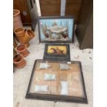 THREE FRAMED ITEMS TO INCLUDE A ROACH AND KNOT EXAMPLES ETC