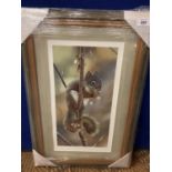 A CARL BRENDERS FRAMED PRINT 'FAST FOOD' SQUIRREL OPEN EDITION WHOLESALE PRICE £90