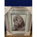 A SUSAN BAXTER FRAMED PRINT 'IMAGINE' URANGATANGS WHOLESALE PRICE £75