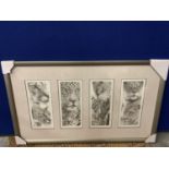 AN S FILLING SET OF FOUR FRAMED WILD CAT PRINTS WHOLESALE PRICE £120