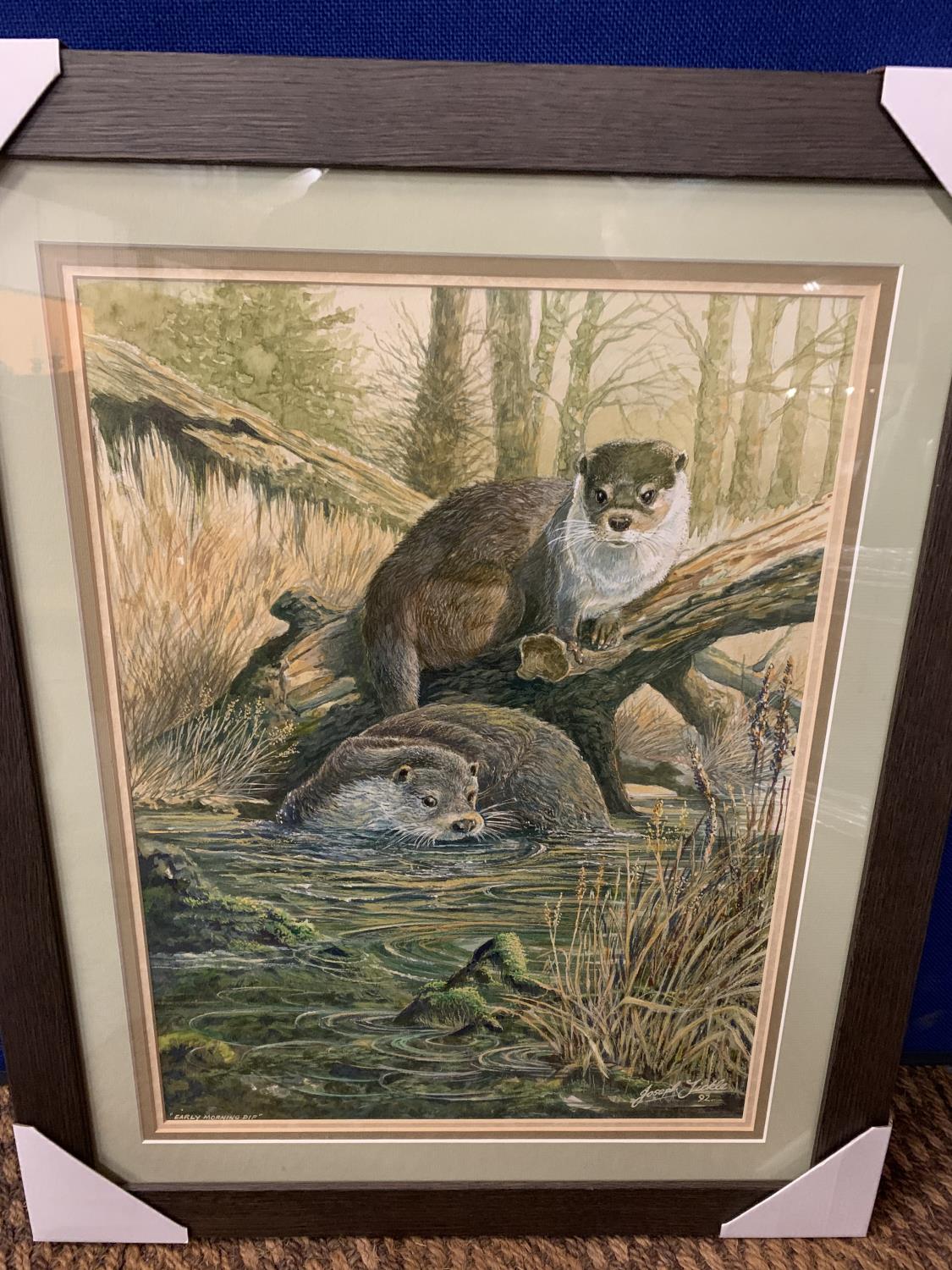 A JOSEPH TICKLE ORIGINAL FRAMED OTTER PAINTING 'EARLY MORNING DIP' WHOLESALE PRICE £200