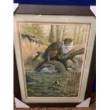 A JOSEPH TICKLE ORIGINAL FRAMED OTTER PAINTING 'EARLY MORNING DIP' WHOLESALE PRICE £200