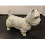 A BESWICK WEST HIGHLAND TERRIER DOG