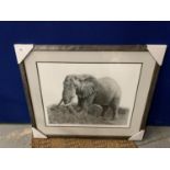 A JON BYE FRAMED PRINT 'ELEPHANT' LIMITED EDITION 16/375 WHOLESALE PRICE £150